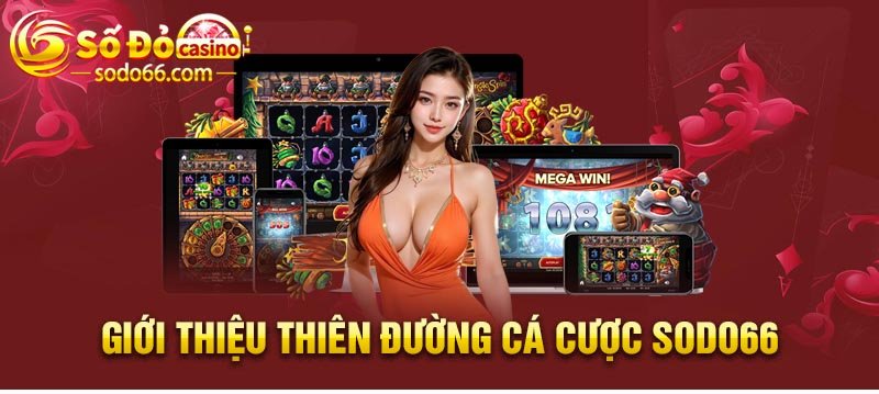 Sodo66 là gì ? Giới thiệu Sodo66 hot trên thị trường cá cược